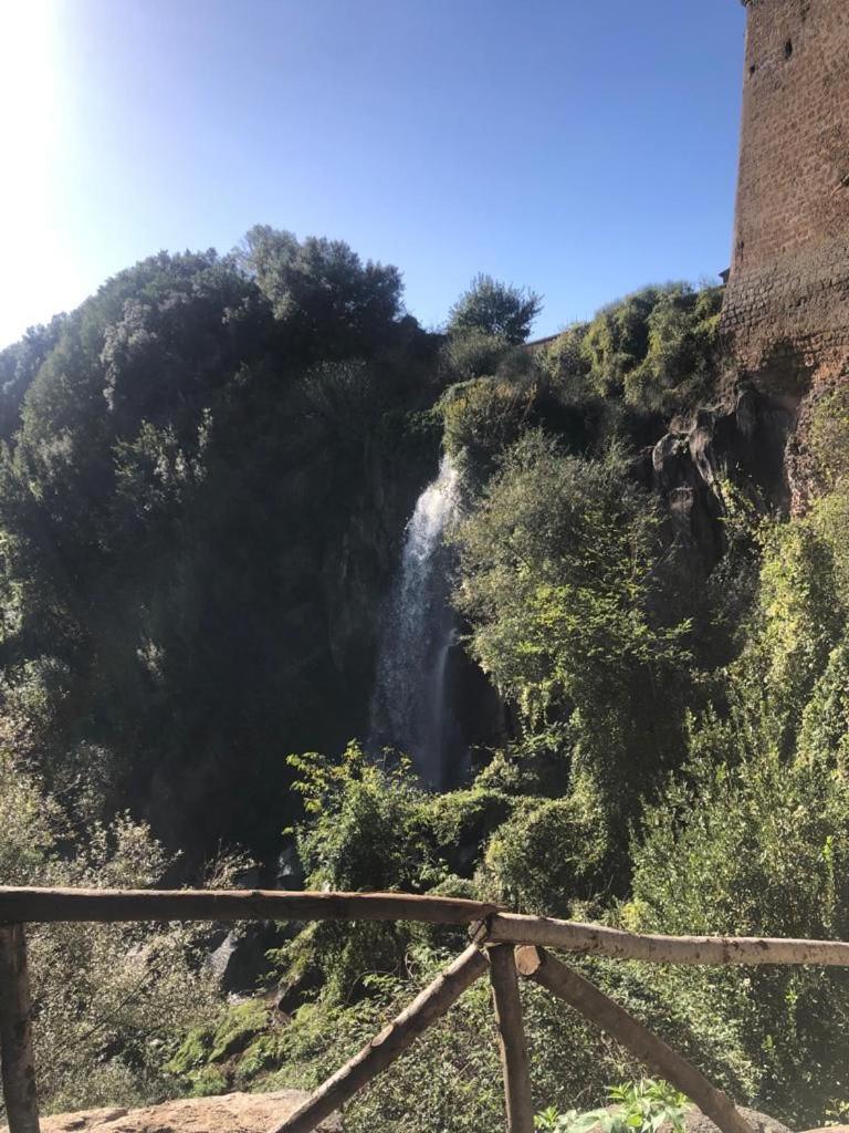 Casuale House Apartment Castel Sant'Elia Exterior foto