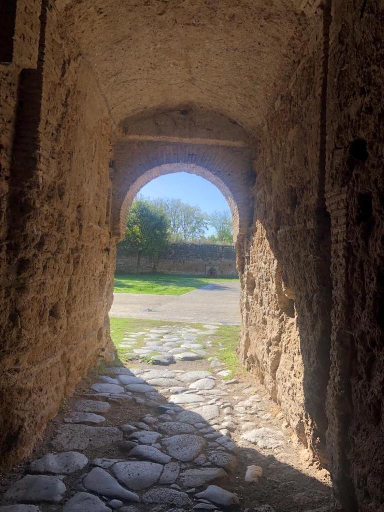 Casuale House Apartment Castel Sant'Elia Exterior foto