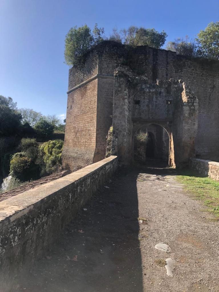 Casuale House Apartment Castel Sant'Elia Exterior foto